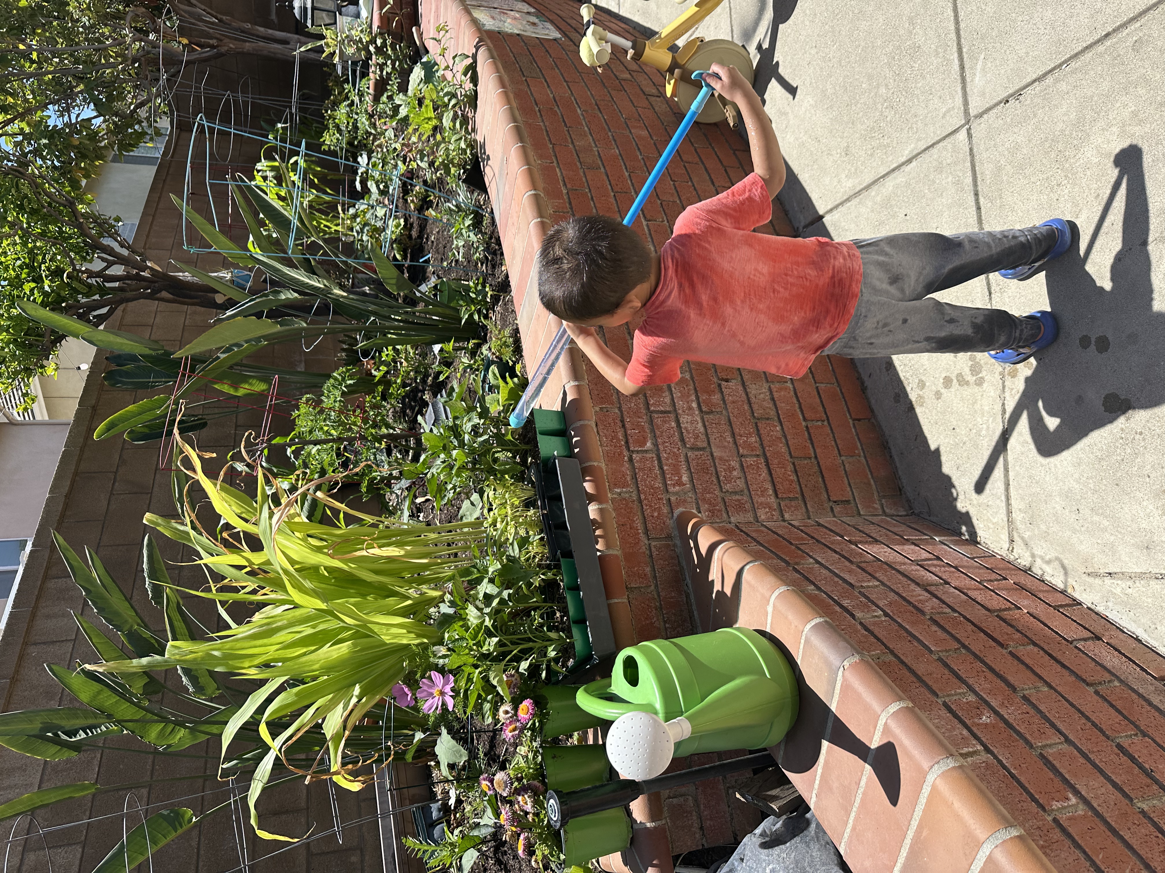 Outdoor free play and movement in a natural yard