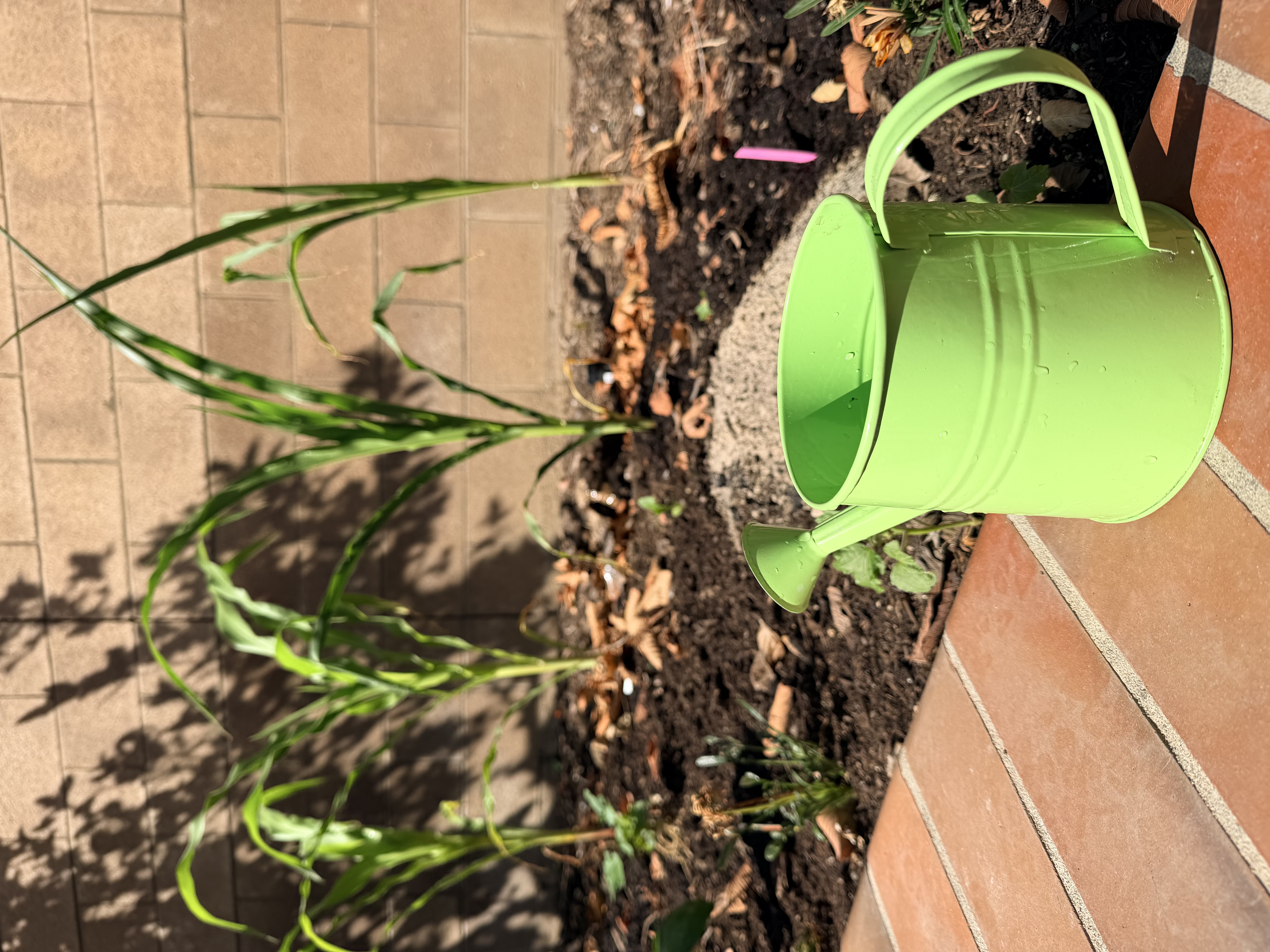 Outdoor Montessori nature atelier activity